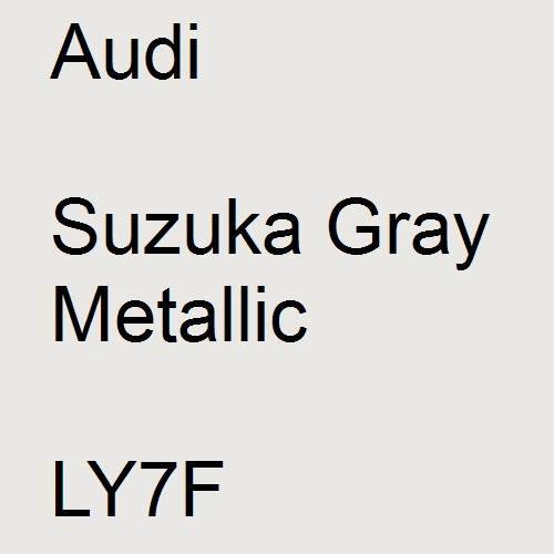 Audi, Suzuka Gray Metallic, LY7F.